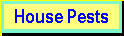 Pest Control | Pest Control Service |Pest Control Contract 13