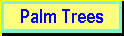 Palm Tree | Palm Tree Care | Palm Tree Maintenance| Palm Tree Service 18